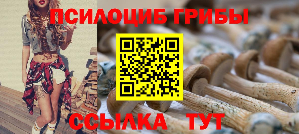 Псилоцибиновые грибы ЛСД  Вход с VPN  Галлюциногенные грибы ЛСД  Казань 